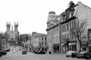Picture Of guelph