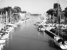 Picture Of oakville